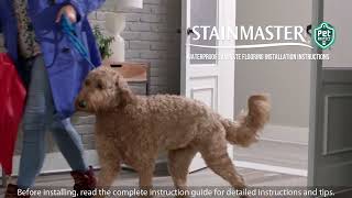 Stainmaster Pet Protect Installation Video [upl. by Acsisnarf]