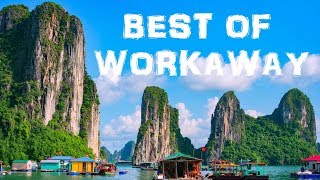 10 Best Workaway Experiences  Best Hosts on Workaway [upl. by Desmond]