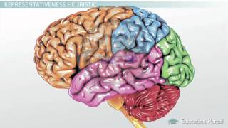 Types of Heuristics Availability Representativeness amp Base [upl. by Aicinet973]