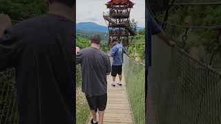 Gatlinburg skybridge gatlinburg skybridge gatlinburgtennessee williamssyndrome bridge [upl. by Deckert]