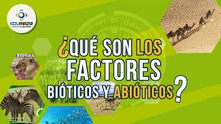 ¿Qué son los factores bióticos y abióticos Ejemplos de factores bioticos y abióticos [upl. by Anez]