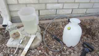 Homemade Insecticidal Soap Spray Recipe  Aphids White Flies Spider Mites etc [upl. by Kellina321]