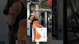 Warum man als Frau Brust trainieren sollte 💪🏻 brusttraining brustmythos cariswelt werbung [upl. by Sells81]