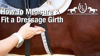 How to Measure and Fit for a Dressage Girth [upl. by Ifar]