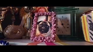 2024  RSPCA RESPECT 📺📺📺ForEveryKind tellyads uktvadverts 2024 [upl. by Naesed443]