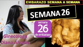 SEMANA 26 EMBARAZO SEMANA A SEMANA POR GINECOLOGA DIANA ALVAREZ [upl. by Lissak]