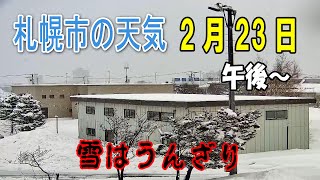 今の札幌 2月23日 午後～ ☃️雪時々曇 「大雪・なだれ・低温」注意報 札幌ライブカメラ live [upl. by Aihsemak]