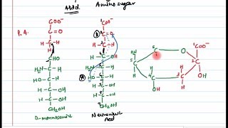 13 Sugar derivatives Part 2 [upl. by Ihcelek]