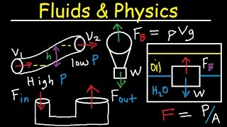 Fluid Pressure Density Archimede amp Pascals Principle Buoyant Force Bernoullis Equation Physics [upl. by Rafaelita57]