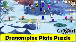 Dragonspine Pressure Plate Puzzle Hidden Luxurious Chest amp Crimson Agate  Genshin Impact [upl. by Hamlet920]