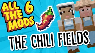 All The Mods 6 Feed The Bees Ep41 IM FINALLY FARMING [upl. by Esinyt]