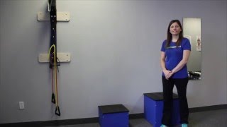 Hip Hitches  Hip and Glute Exercises [upl. by Enajyram]