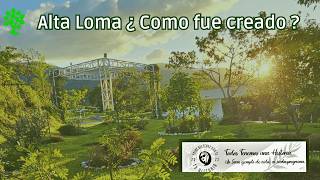 Alta Loma ¿ como surgio en Costa Rica un Bosque Cementerio [upl. by Sapphera]