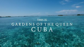 This is the Gardens of the Queen Cuba [upl. by Ahsienad238]