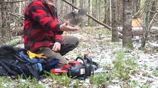 Sprucing Up a TrailMartins Old Off Grid Log Cabin255 [upl. by Aniretake334]