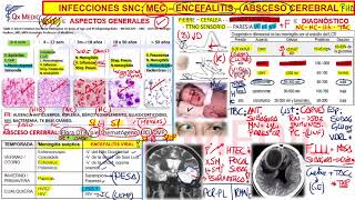 6 RM19 2V DÍA 1 NEUROLOGÍA INFECCIONES TRATAMIENTO [upl. by Ogir]