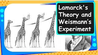 Biology  Lamarcks Theory of Evolution  Heredity and Evolution  Part 9  English [upl. by Liagiba678]