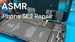 Screen Replacement  iPhone SE 2020  ASMR [upl. by Arne]