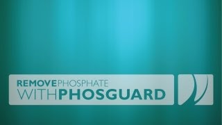 Remove Phosphate with PhosGuard without media reactor [upl. by Nesahc]