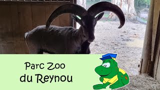 Parc Zoo du Reynou [upl. by Skeie54]