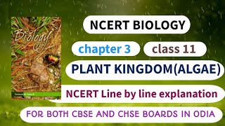 NCERT BIOLOGY  Class 11 Chapter 3Plant kingdomAlgae  Both for CHSE and CBSE Boards in Odia [upl. by Aitetel358]