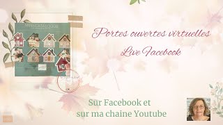 Portes ouvertes virtuelles mini catalogue StampinUp [upl. by Enitnemelc]