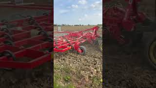 Cover crop of phacelia buckwheat amp linseed going in on fallowed fields More of this in Update 259 [upl. by Nepets]