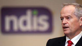 ‘It can’t keep going’ Government under pressure to reign in NDIS costs [upl. by Anaili873]