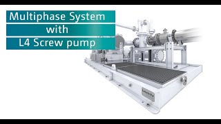 Leistritz Multiphase Pump Skid with L4 screw pump [upl. by Dardani]