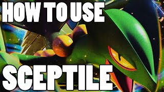 Pokémon How To Use Sceptile Sceptile Moveset  Pokemon Omega Ruby and Alpha Sapphire  XampY Guide [upl. by Tereb153]