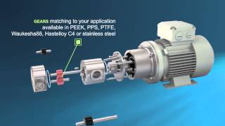 Scherzinger Gear Pumps Versatile and persistent [upl. by Neerac]