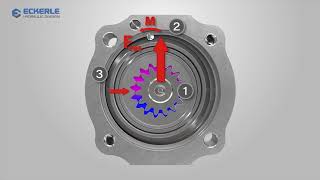 Eckerle Ringpumpe 4K HD [upl. by Cassy]