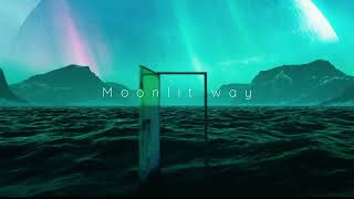 PAX JAPONICA GROOVE  Moonlit way Audio [upl. by Ameyn833]