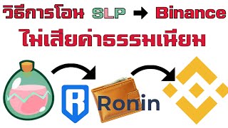 วิธีโอนเหรียญ SLP จาก Axieinfinity ไป Binance ไม่มีค่าธรรมเนียมTransfer SLP to Binance no gas fee [upl. by Stedman]