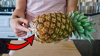 How to Serve Pineapple [upl. by Natye]