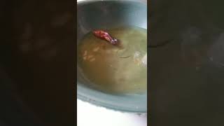 Mengecek sirop ikan cupang [upl. by Letnahs]