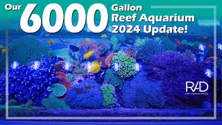 2024 UPDATE 6000 GALLON REEF AQUARIUM  DESIGNED INSTALLED amp MAINTAINED BY REEF AQUARIA DESIGN [upl. by Nuarb956]