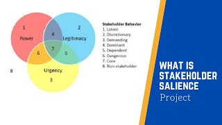 Stakeholder Salience [upl. by Amaryllis34]