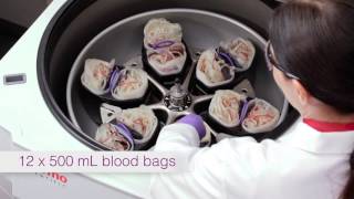 Maximized Blood Banking Capacity [upl. by Goodill]