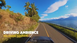 Driving Ambience Sounds Sleep ASMR [upl. by Tamarah]