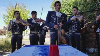 Mauricio rosales mariachi espuelas de oro [upl. by Polloch76]