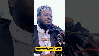 জামাতবিএনপি গোঁপন তথ্য ফাঁস Mufti Amir Hamza WAZ A TO Z [upl. by Licna]