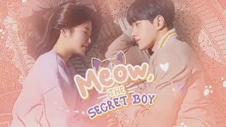 Meow The secret boy Episode 1part2 in Hindi dubbed comdey romantic drama [upl. by Micki]