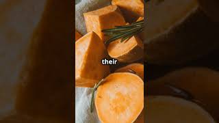 The Surprising Benefits of Eating Sweet Potatoes Every Day [upl. by Niawtna543]