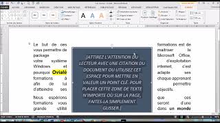 Word Zone de texte [upl. by Nosredneh917]