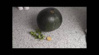 Thermomix QuickTipp Wassermelonen Smoothie  Vegan High Carb [upl. by Pylle]