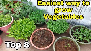 Easiest way to grow Top 8 Vegetables at HomeGarden  Small space gardening CC [upl. by Kalina]