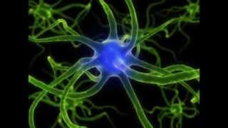 ★ Nerve Regeneration ★ Binaural Beats  Isochronic Tones ASMR [upl. by Schwing278]