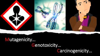 GT  13 Mutagenicity vs Genotoxicity vs Carcinogenicity General Toxicology Module 13 [upl. by Eignav]