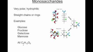 Organic chemistry screencast segment 3  Carbohydratesmp4 [upl. by Adile]